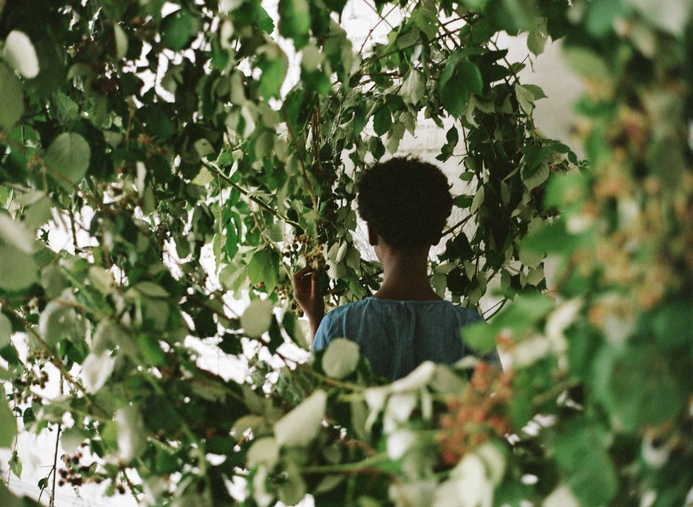 blackberry ramble floral installation designer | sarahwinward.com