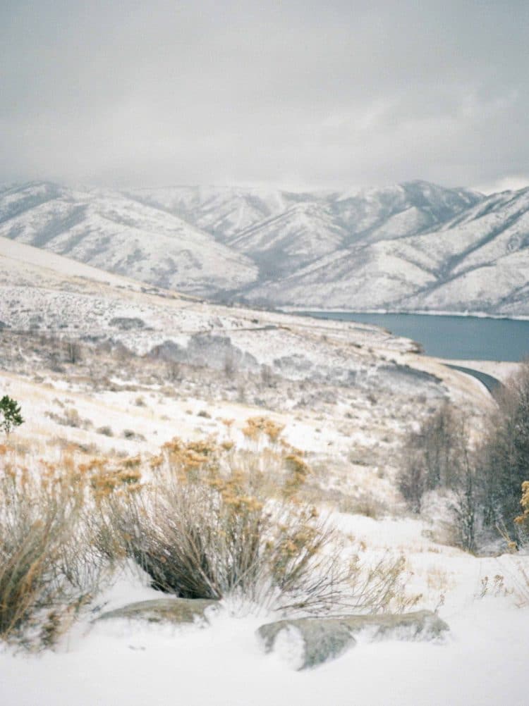 top destination wedding floral designer | sarahwinward.com | winter floral design